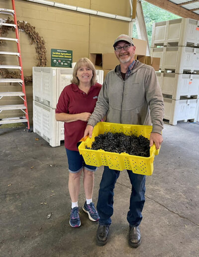 Cindy and friend picking the best grapes