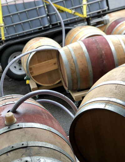 Wine barrels